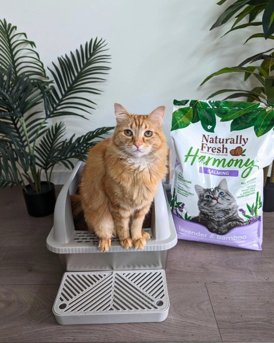 Naturally Fresh Harmony Calming Lavender & Bamboo Cat Litter