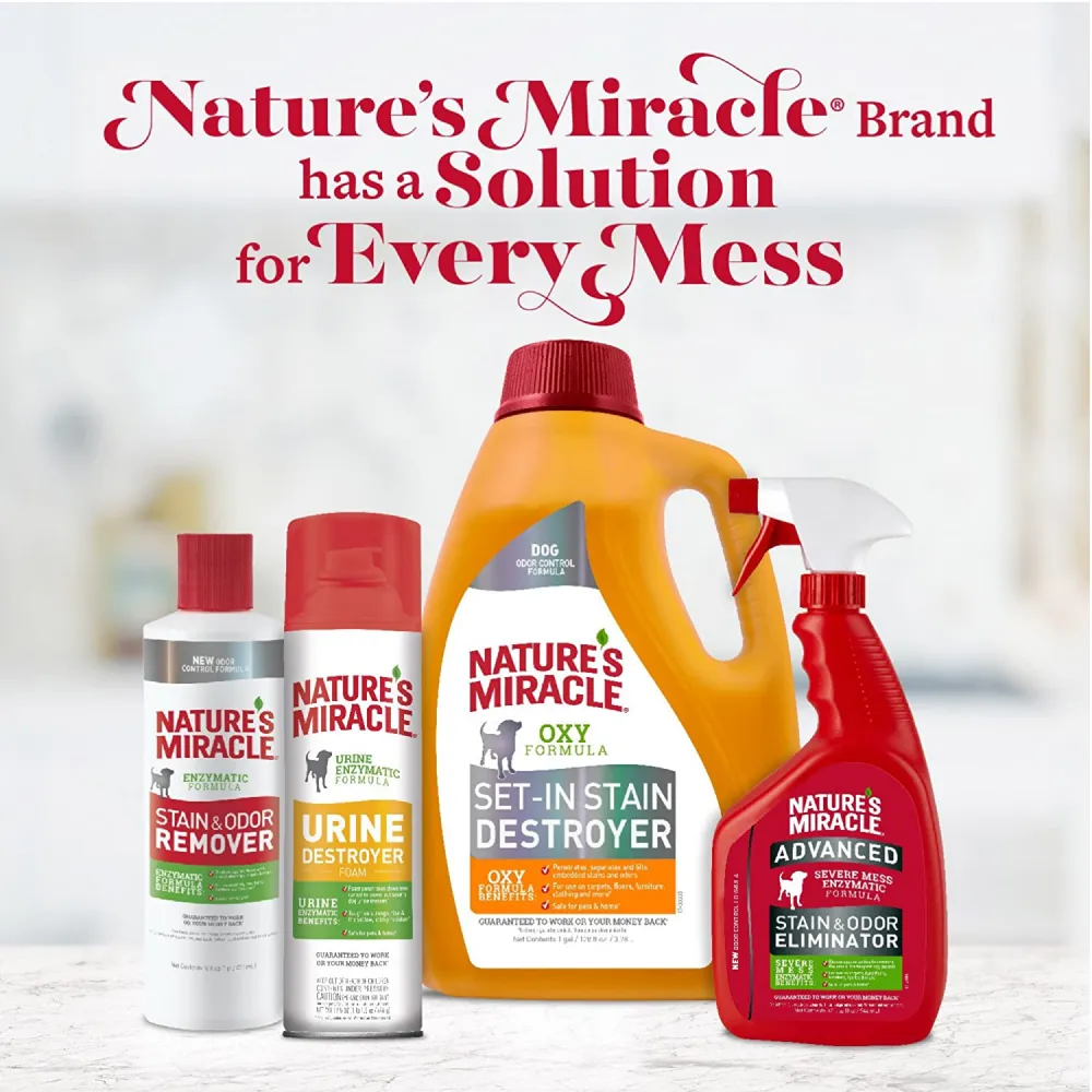 Natures Miracle Orange Oxy Stain and Odor Remover for Cats