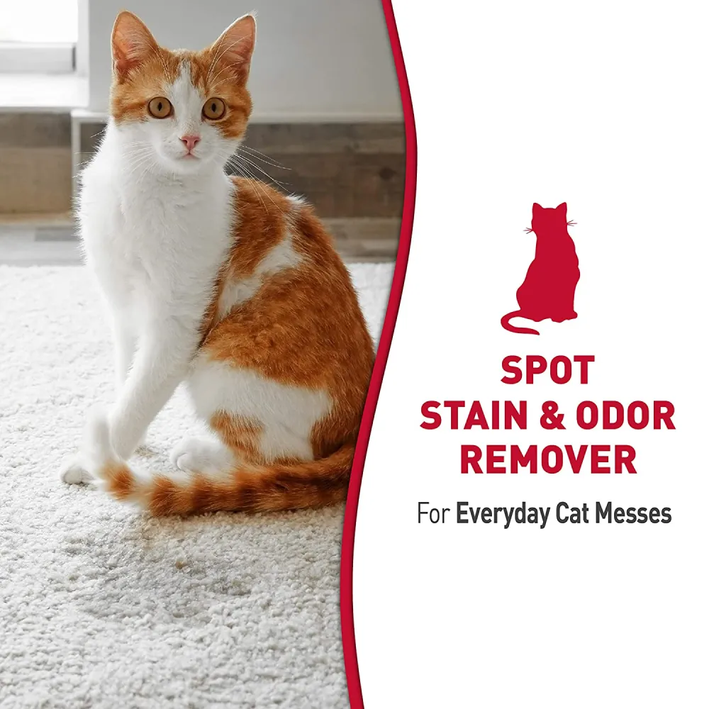 Natures Miracle Stain & Odor Remover for Cats (Melon Burst)
