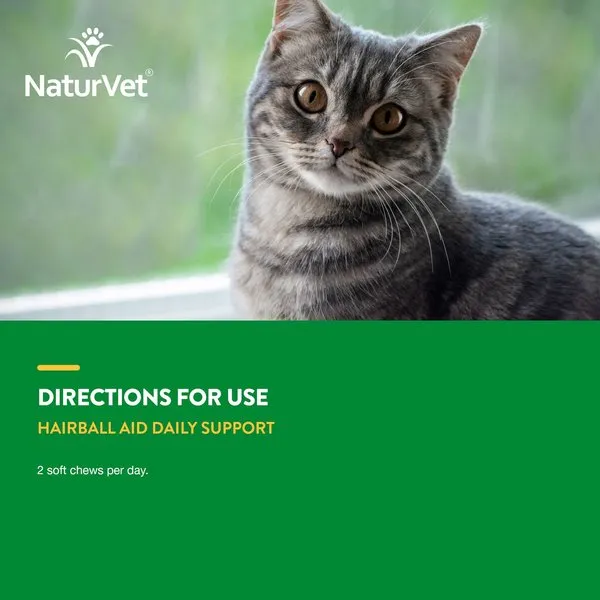 NaturVet Hairball Aid Plus Pumpkin Soft Chews for Cats