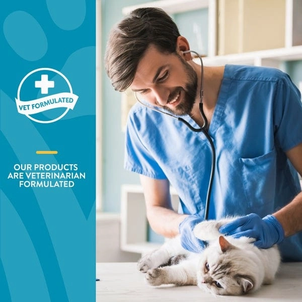 NaturVet Quiet Moments Calming Aid Plus Melatonin Cat Soft Chews