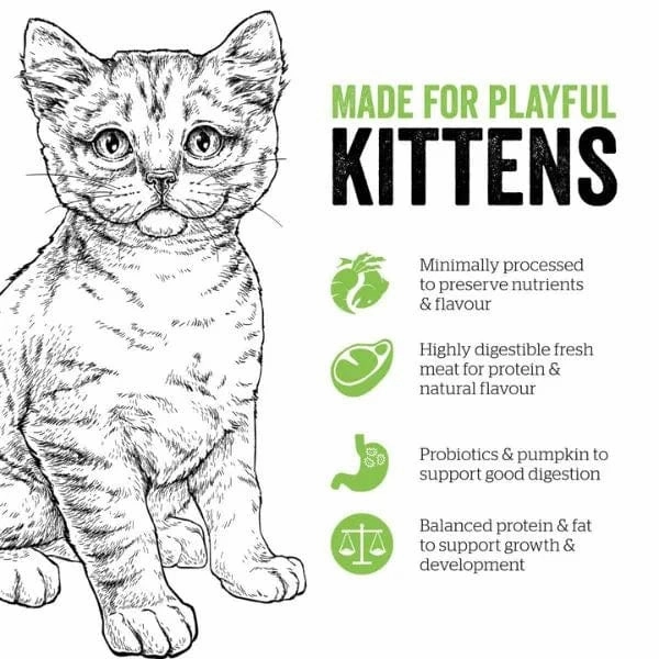 Now Fresh Turkey, Salmon & Duck Recipe Dry Kitten Food, 8lb