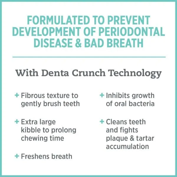 Nutrience Care  Oral Health Dry Cat Food