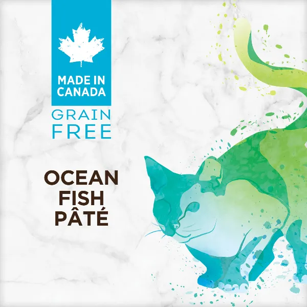 Nutrience Grain Free Ocean Fish Pate Canned Cat Food