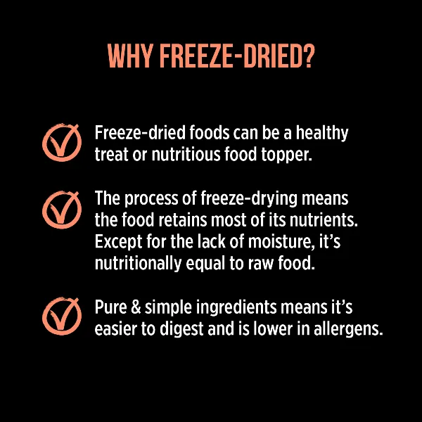 Nutrience SubZero Freeze-Dried Salmon Cat Treats