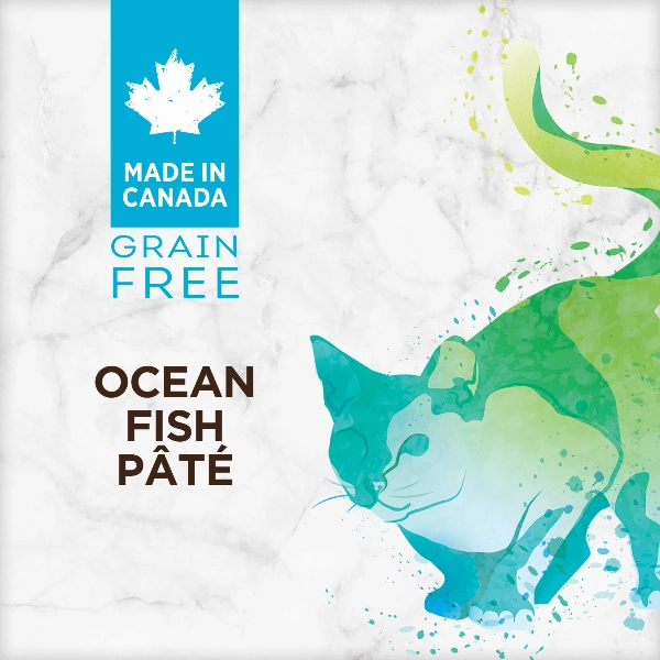 Nutrience Grain Free Ocean Fish Pate Canned Cat Food