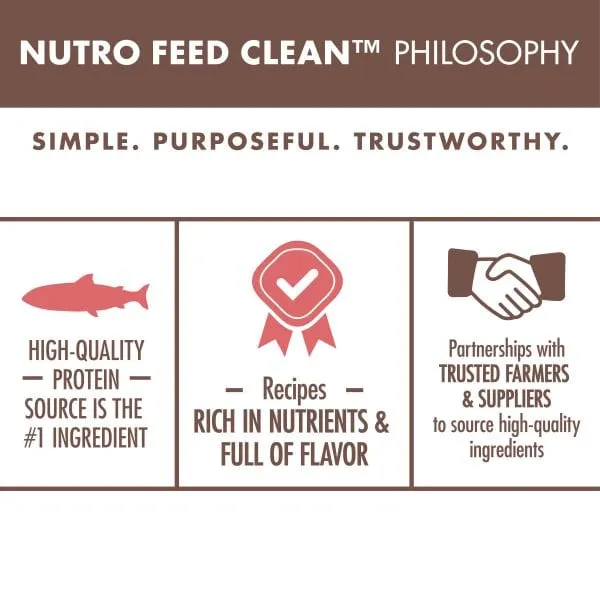 Nutro Wholesome Essentials Salmon & Brown Rice Adult Dry Cat Food