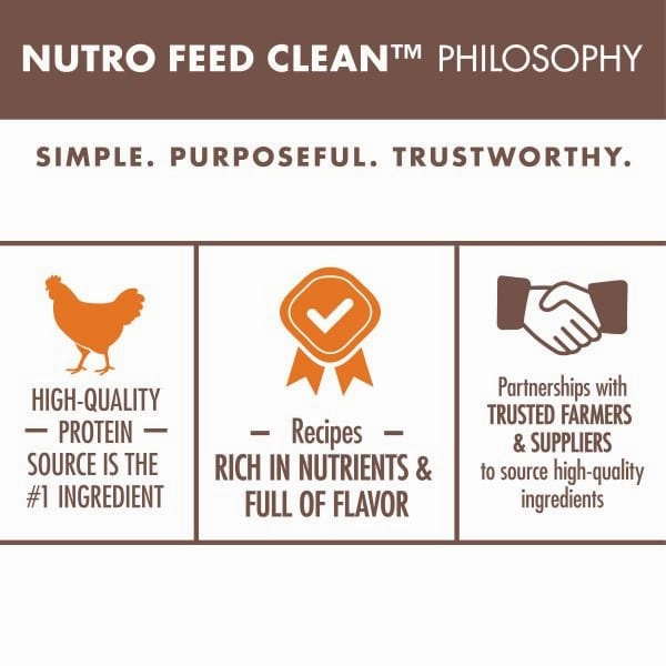 Nutro Wholesome Essentials Chicken & Brown Rice Dry Kitten Food, 1.36kg