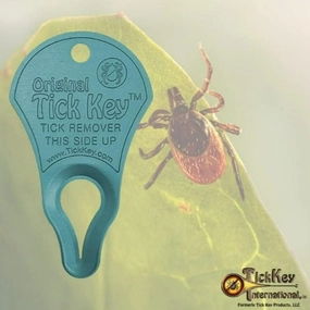 Original TickKey; Tick Removal Tool