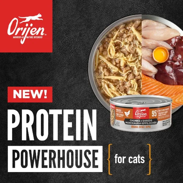 Orijen Duck & Chicken Chunks & Shreds Entre Canned Cat Food, 5.5oz