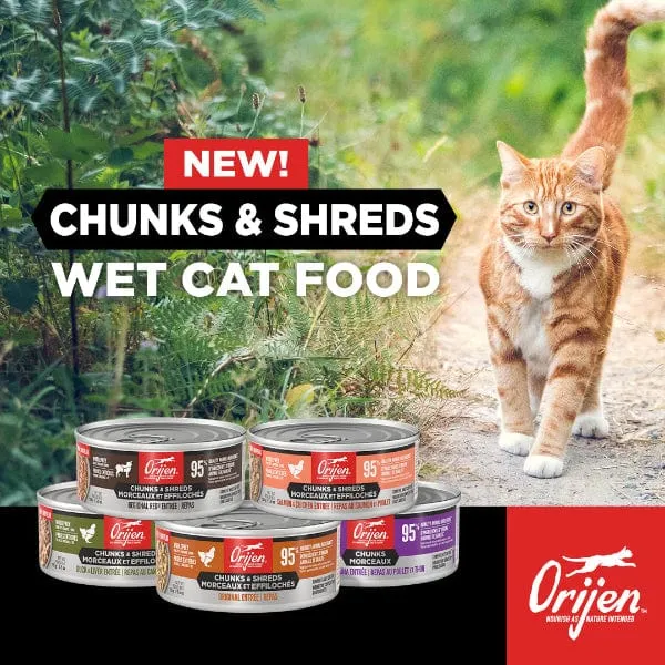 Orijen Duck & Chicken Chunks & Shreds Entre Canned Cat Food, 5.5oz