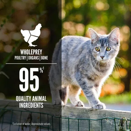 Orijen Original Recipe Canned Cat Food