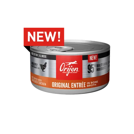Orijen Original Recipe Canned Cat Food