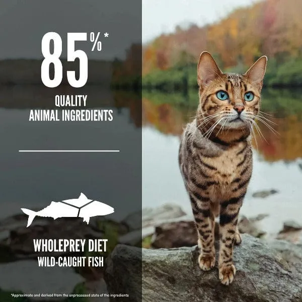 Orijen Six Fish Dry Cat Food
