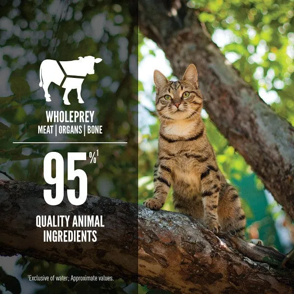 Orijen Tuna & Beef Entre Canned Cat Food