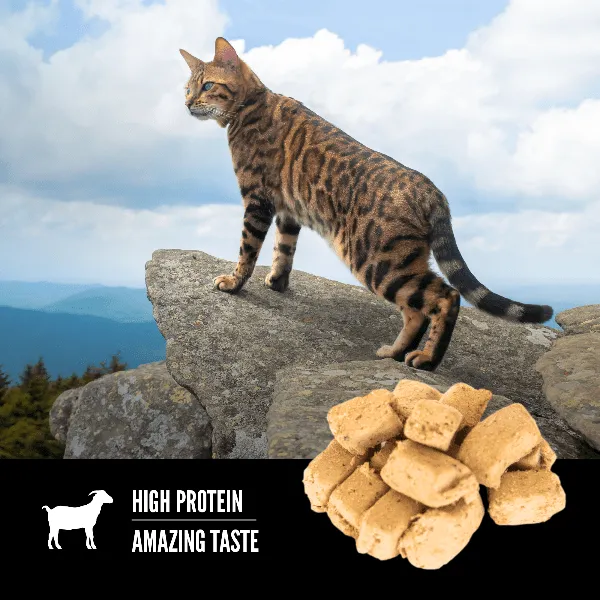 Orijen Tundra Freeze-Dried Cat Treats