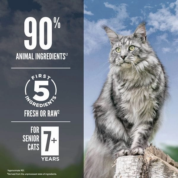 Orijen Guardian 8 Senior Cat Dry Food