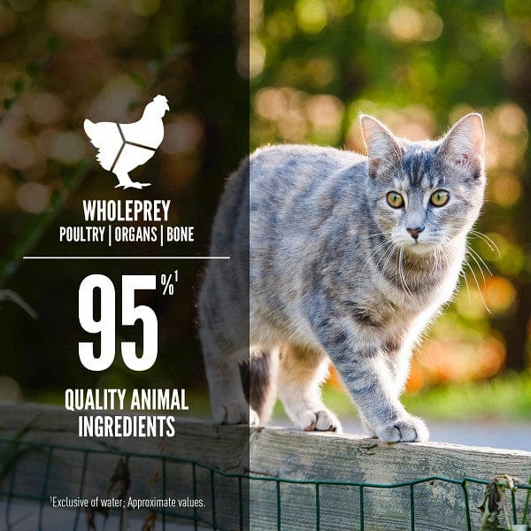 Orijen Original Entre Canned Cat Food
