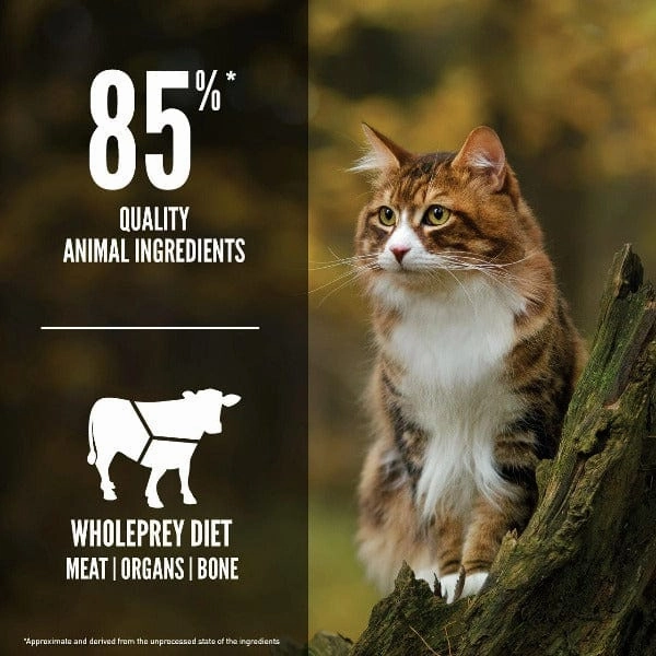 Orijen Regional Red Dry Cat Food