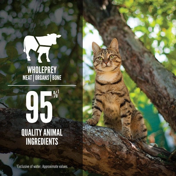 Orijen Regional Red Entre Canned Cat Food