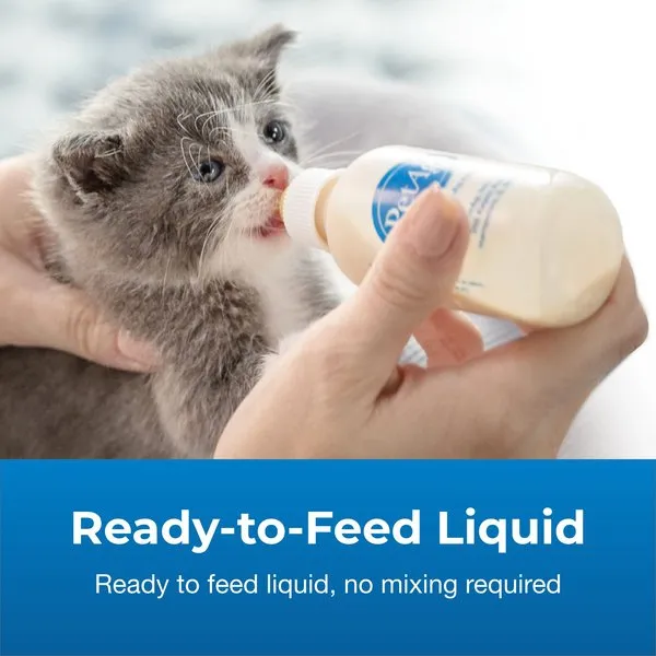 PetAg KMR Kitten Milk Replacer Liquid Supplement for Cats