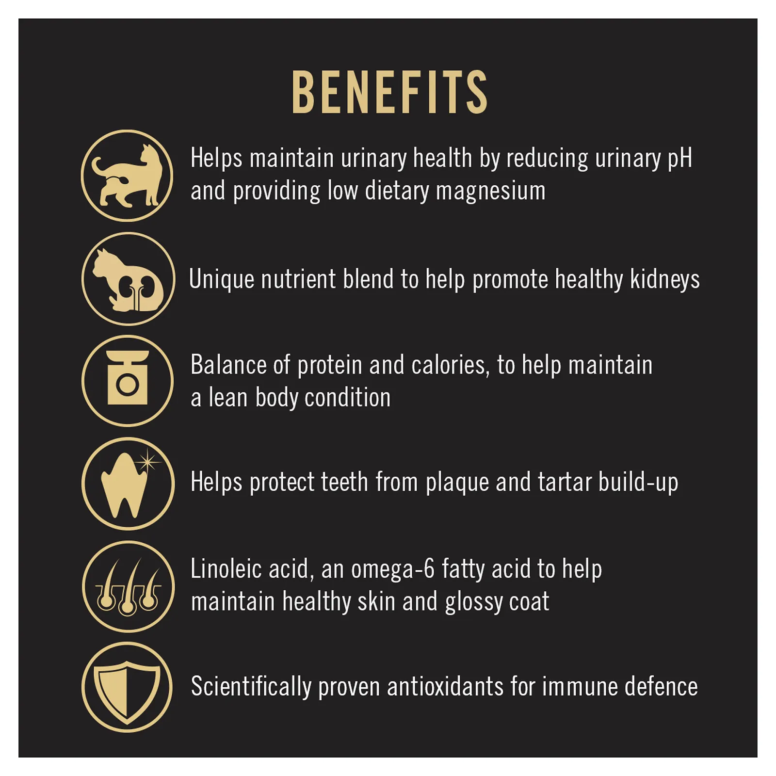 Pro Plan Cat Food Adult Urinary Care Chicken