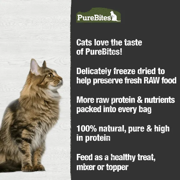 PureBites Freeze Dried Beef Liver Cat Treat, 44g