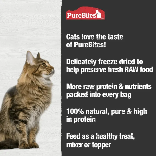 PureBites Freeze Dried Chicken Breast Cat Treat, 66g
