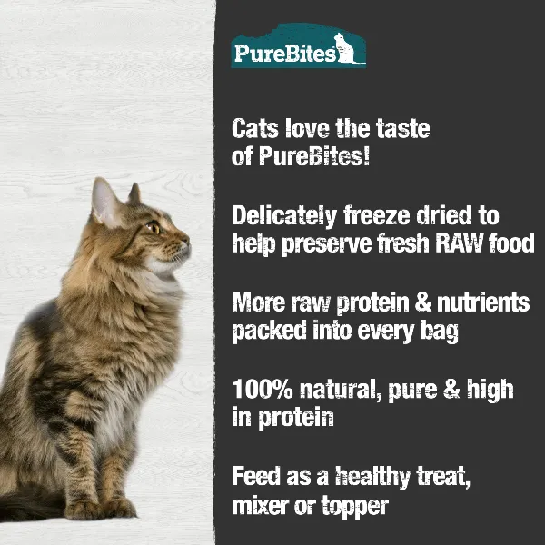 PureBites Freeze Dried Minnow Cat Treat, 66g