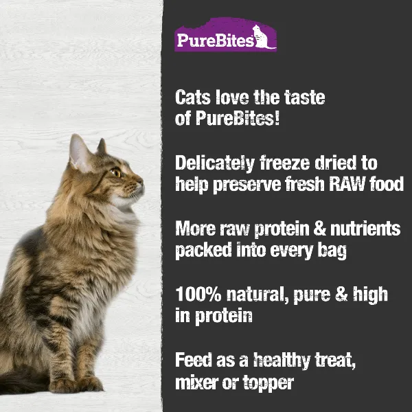 PureBites Freeze Dried Ocean Whitefish Cat Treat, 20g