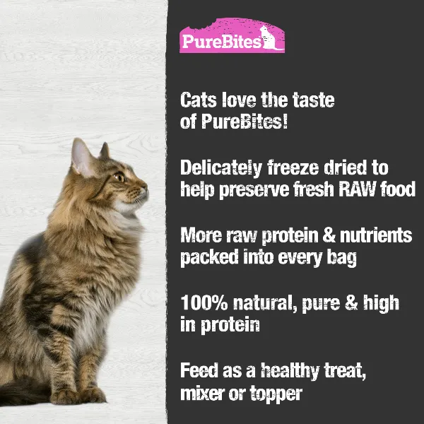 PureBites Freeze Dried Wild Salmon Cat Treats