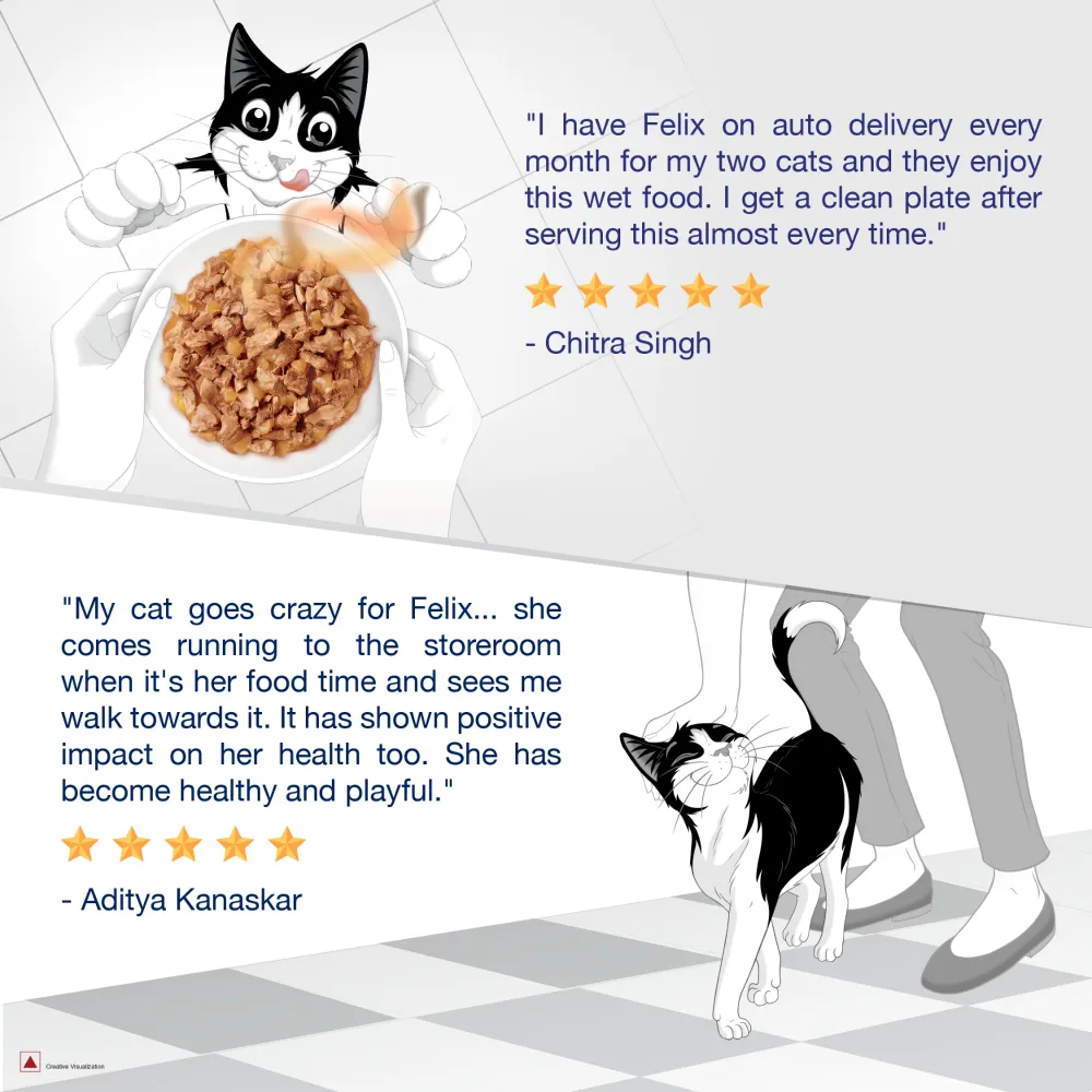 Purina Felix Sardine and Tuna with Jelly Adult Cat Wet Food Combo