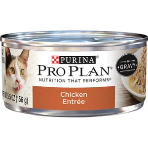 Purina Pro Plan Chicken Entre in Gravy Canned Cat Food