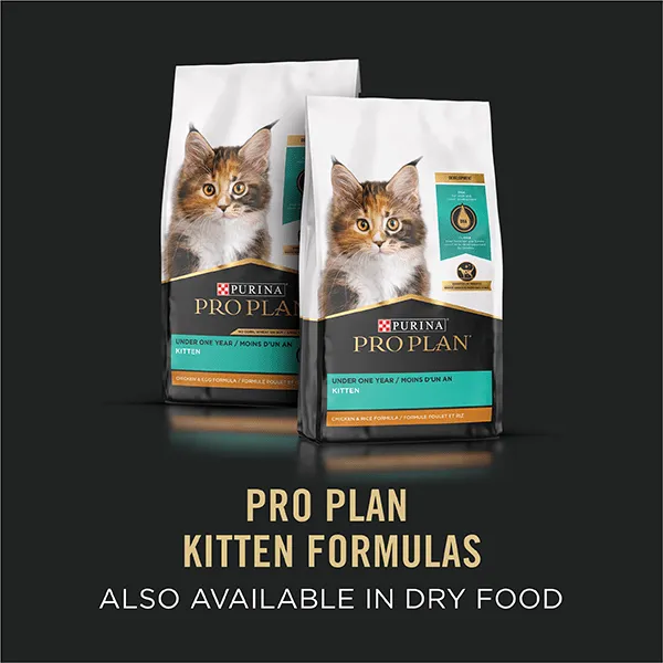 Purina Pro Plan Focus Kitten Canned Food Variety Pack