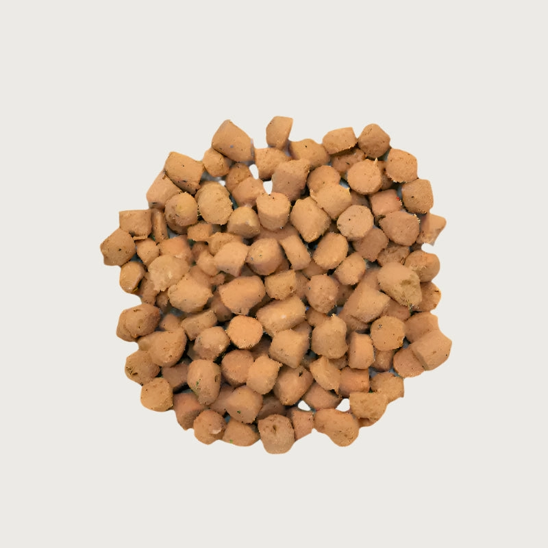 QUEST Frozen Raw Pork Recipe for Cats