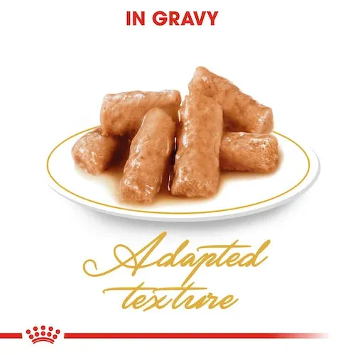 Royal Canin - Adult British Shorthair Wet Food in Gravy 85g