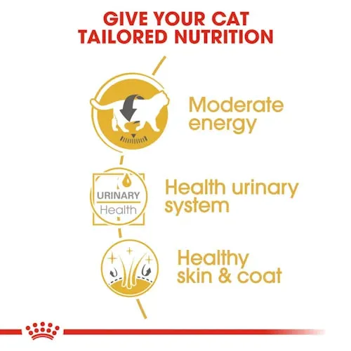 Royal Canin - Adult British Shorthair Wet Food in Gravy 85g