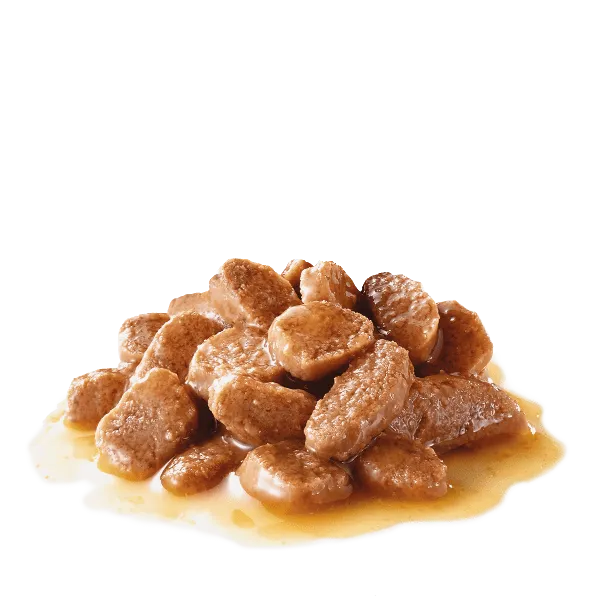 Royal Canin Adult Instinctive Thin Slices in Gravy Canned Cat Food, 85g