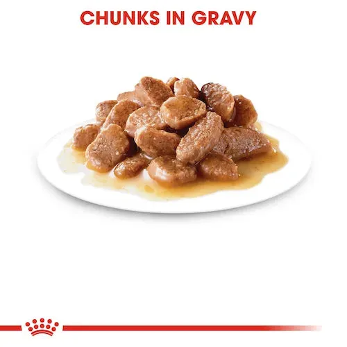 Royal Canin - Ageing 12  Cat Wet Food in Gravy 85g