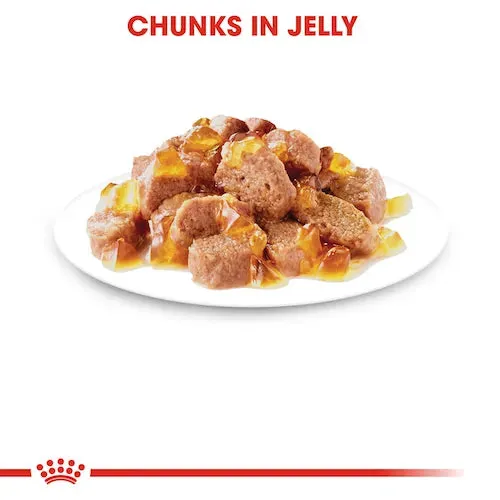 Royal Canin - Ageing 12  Cat Wet Food in Jelly 85g