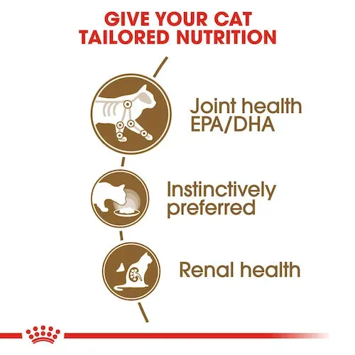 Royal Canin - Ageing 12  Cat Wet Food in Jelly 85g