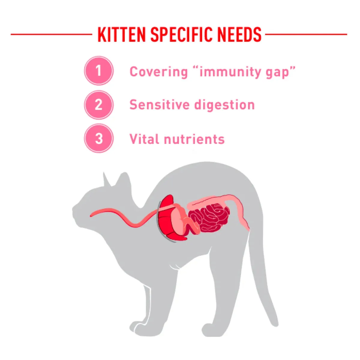 Royal Canin - Babycat Milk