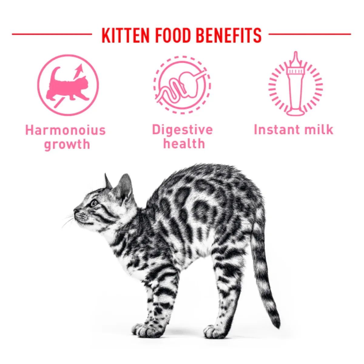 Royal Canin - Babycat Milk