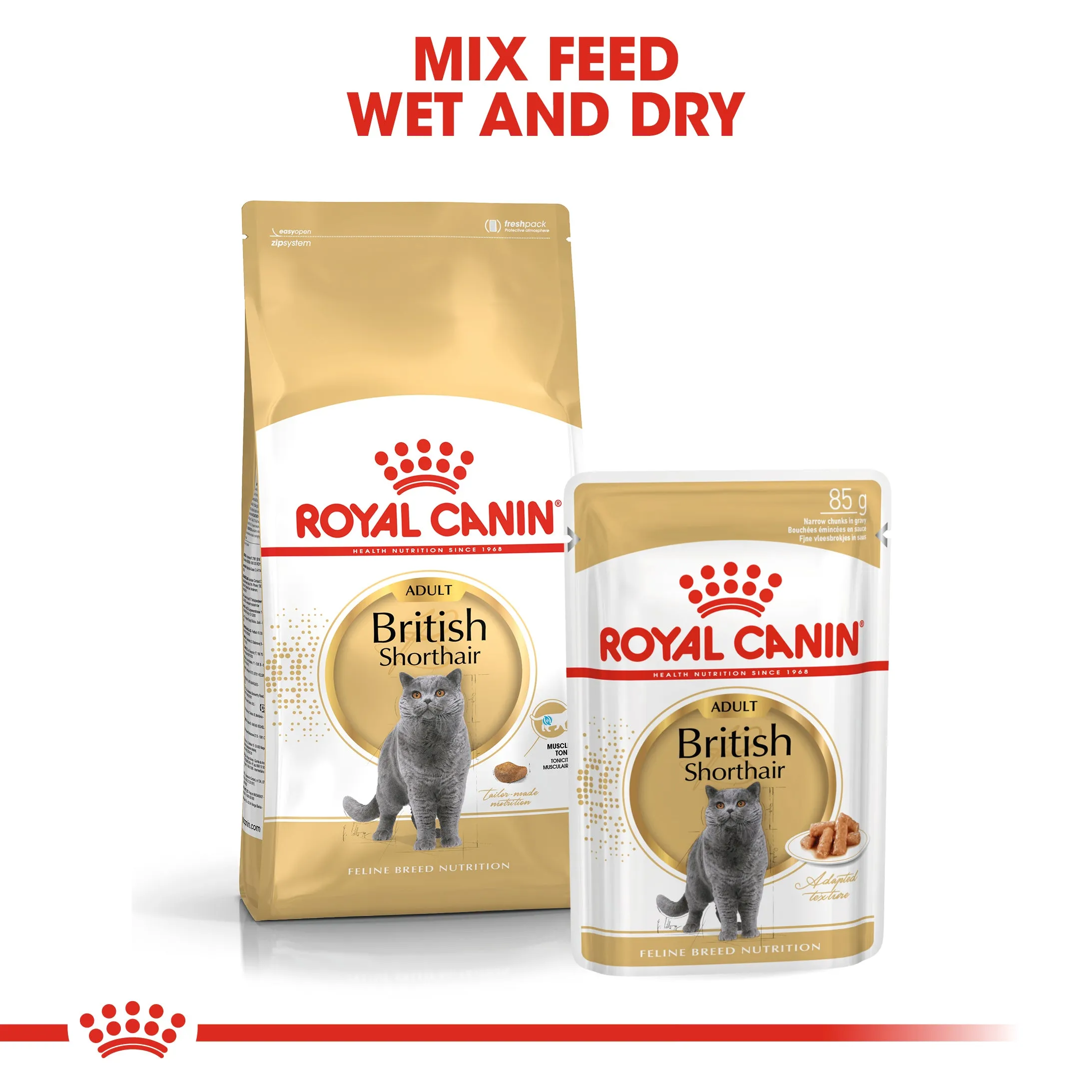 Royal Canin - British Shorthair Breed Adult Cat Dry Food (4kg)