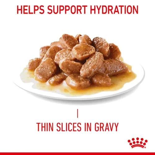 Royal Canin - Care Hairball Cat Food in Gravy 85g
