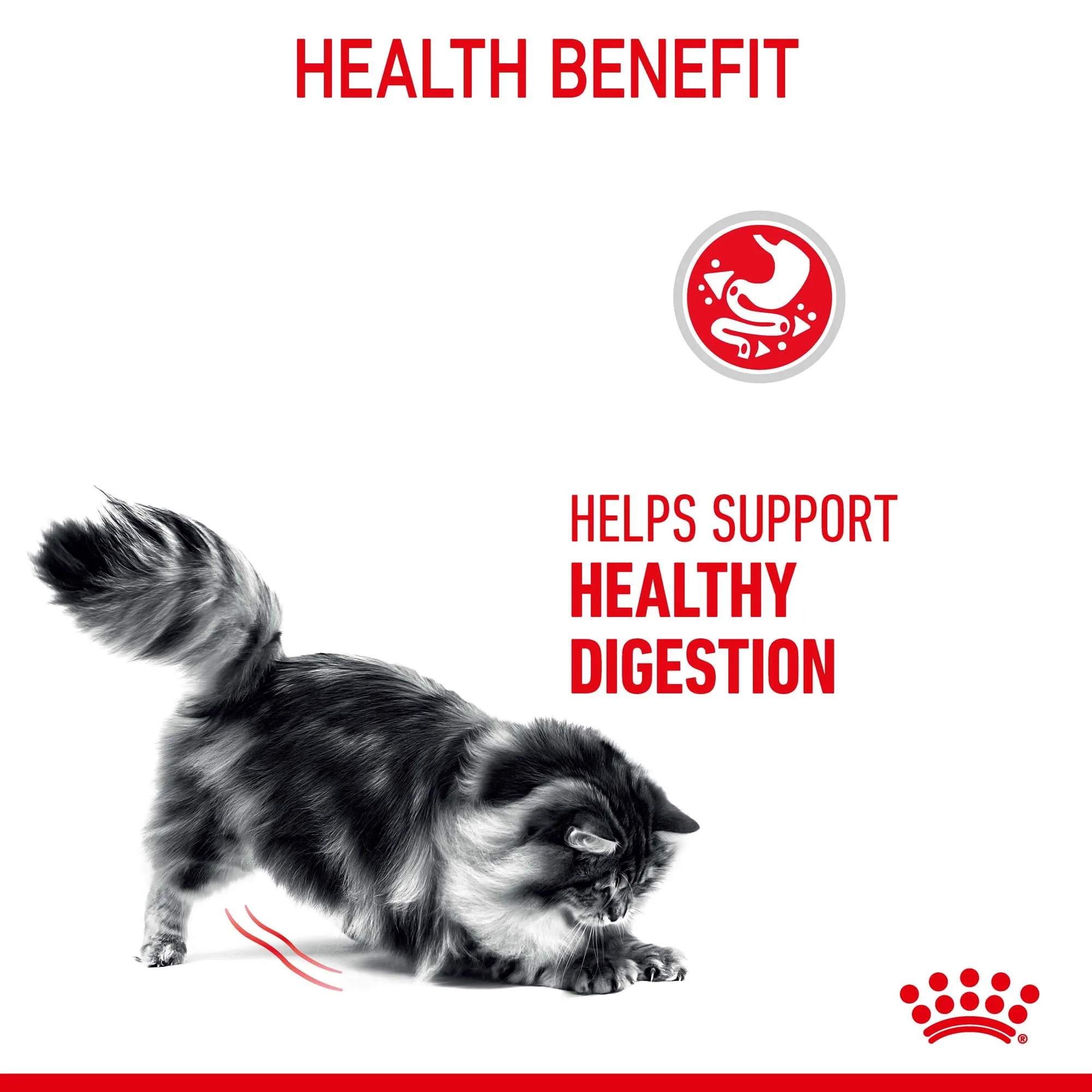 Royal Canin - Digestive Care Adult Cat Dry Food (4kg)