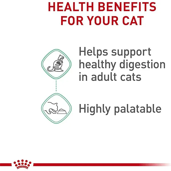 Royal Canin Digestive Care Loaf in Sauce Canned Cat Food, 145g