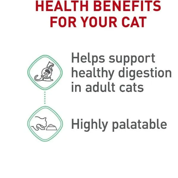 Royal Canin Digestive Care Thin Slices in Gravy Canned Cat Food, 85g