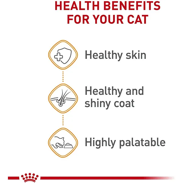 Royal Canin Hair & Skin Care Thin Slices in Gravy Canned Cat Food, 85g