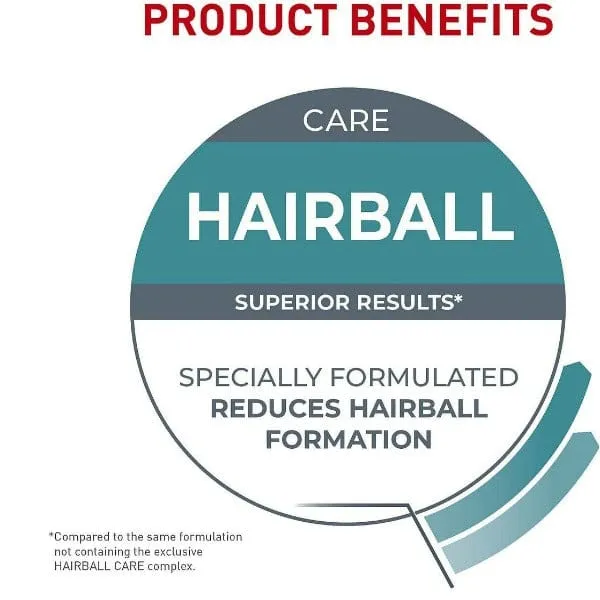 Royal Canin Hairball Care Dry Cat Food
